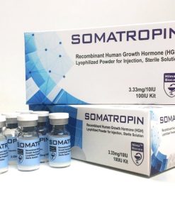 HGH Kopen Zonder Recept - Authentiek Somatropine Kopen